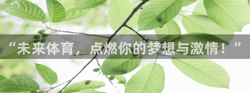 JJB竞技宝官网下载平台注册：“未来体育，点燃你的梦