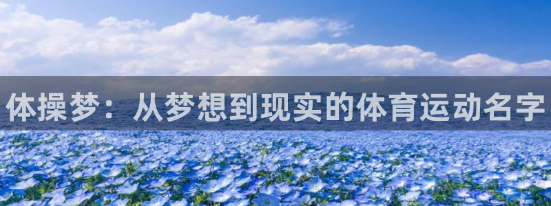 JJB竞技宝官网下载招商电话号码查询是多少：体操梦：