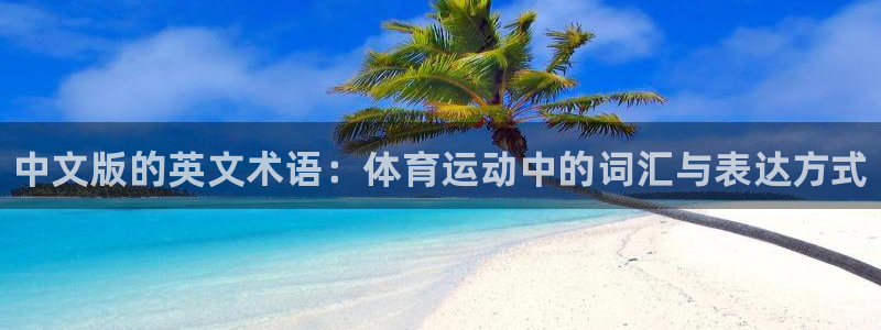 JJB竞技宝官网下载招商电话：中文版的英文术语：体育