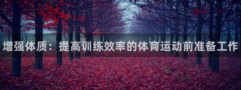 JJB竞技宝官网下载注册：增强体质：提高训练效率的体
