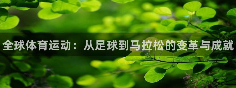 JJB竞技宝官网下载平台：全球体育运动：从足球到马拉