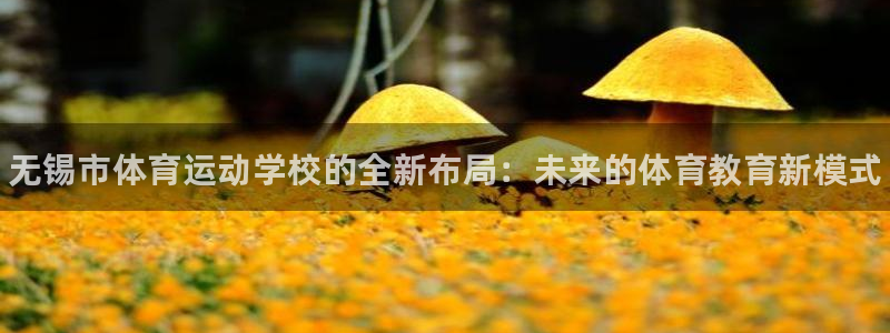 注册JJB竞技宝官方正版app：无锡市体育运动学校的全新布局