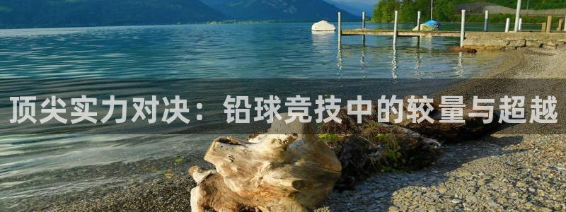 JJB竞技宝官方正版app娱乐下载：顶尖实力对决：铅