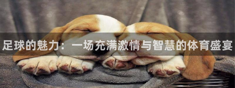 JJB竞技宝官方正版app集团官网首页：足球的魅力：一场充满