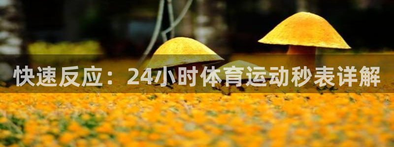 海南JJB竞技宝官网下载：快速反应：24小时体育运动秒表详解
