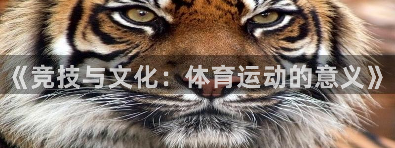 注册JJB竞技宝官方正版app：《竞技与文化：体育运动的意义