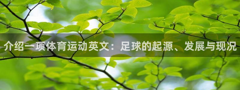 JJB竞技宝官方正版app娱乐平台：介绍一项体育运动