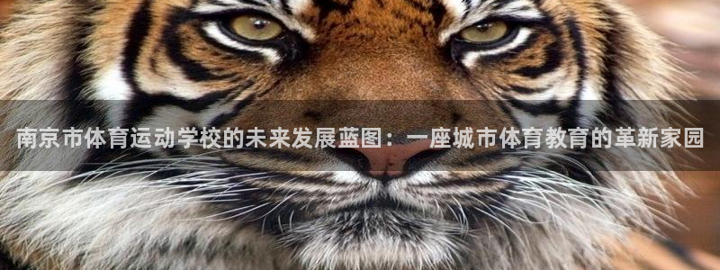 德国JJB竞技宝官方正版app集团：南京市体育运动学