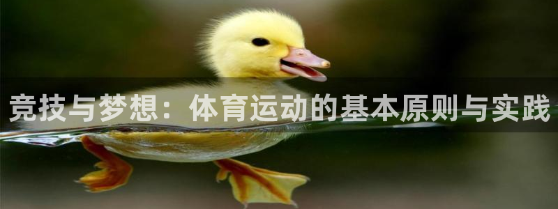 JJB竞技宝官网下载招商电话号码是多少啊：竞技与梦想：体育运