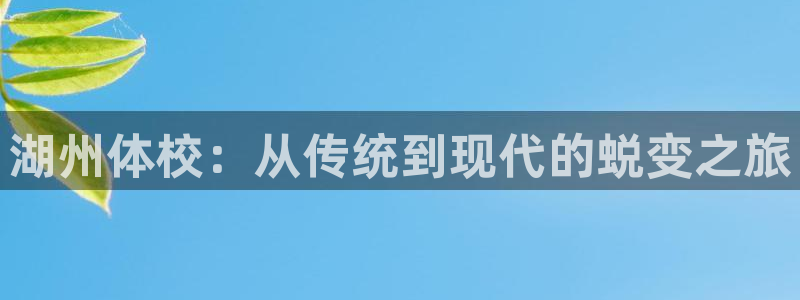 竞技宝登录不了了怎么回事