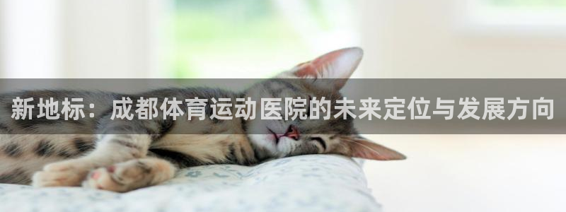  竞技宝黑吗：新地标：成都体育运动医院的未来定位与发展方向