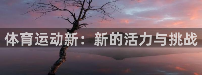 竞技宝是什么关系搜索哈哈电竞：体育运