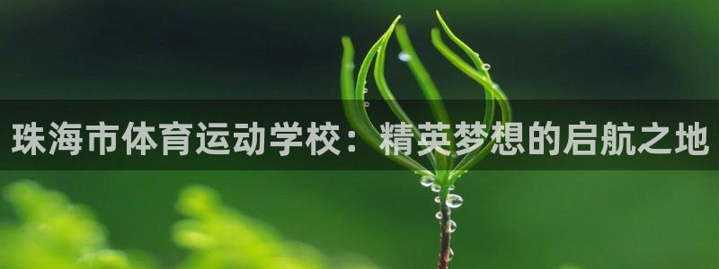 竞技宝什么网站：珠海市体育运动学校：精英梦想的启航之地