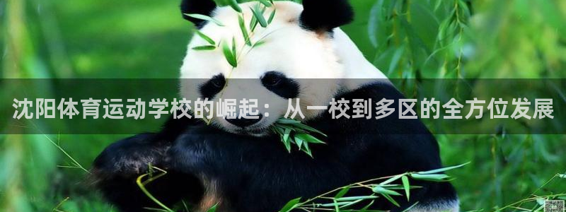 竞技宝官网登录不了：沈阳体育运动学校的崛起：从一校到多区的全