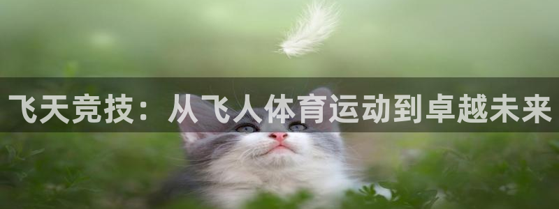  竞技宝会黑钱吗知乎：飞天竞技：从飞人体育运动到卓越未来