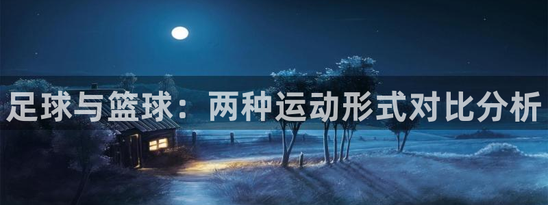  竞技宝app下载安装ios：足球与篮球：两种运动形式对比分析