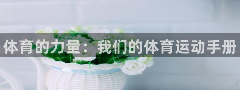 竞技宝下载网站：体育的力量：我们的体